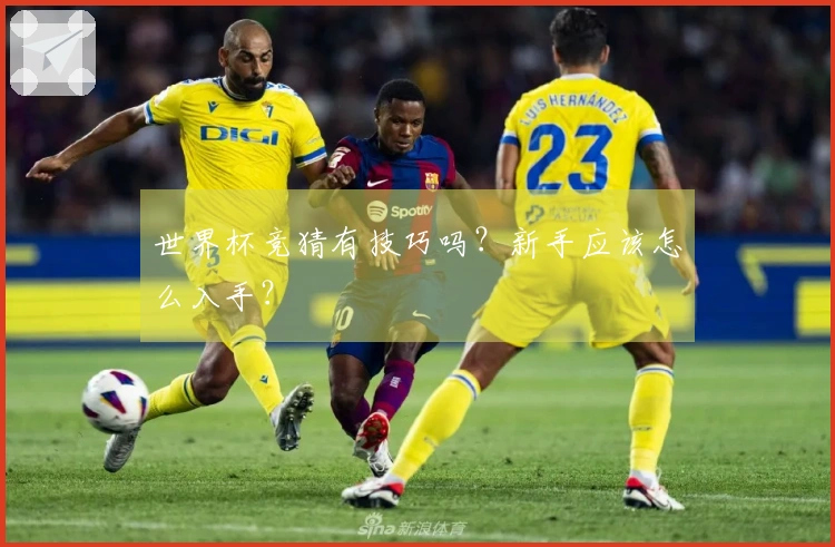 世界杯竞猜有技巧吗？新手应该怎么入手？