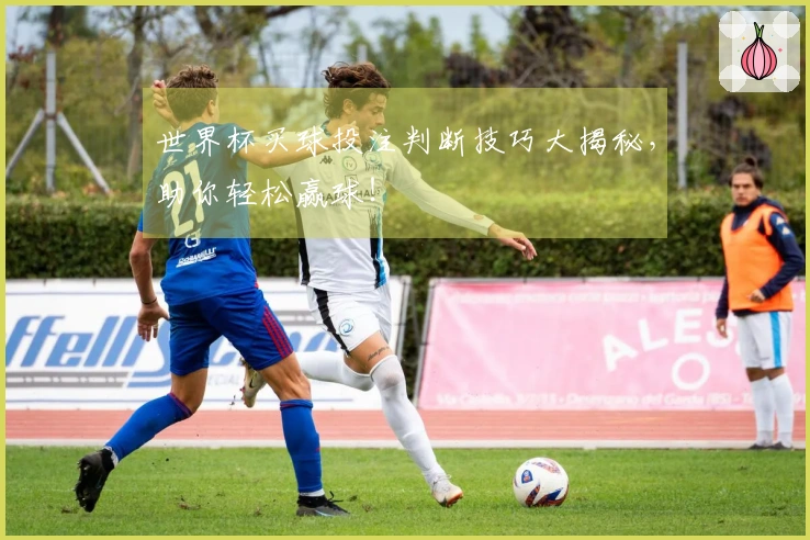 世界杯买球投注判断技巧大揭秘，助你轻松赢球！
