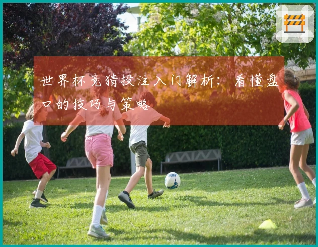 世界杯竞猜投注入门解析：看懂盘口的技巧与策略