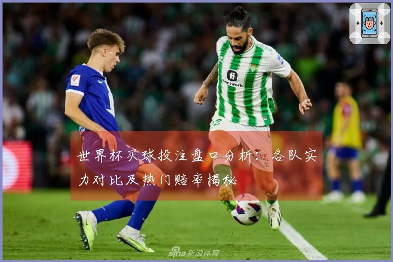 世界杯买球投注盘口分析：各队实力对比及热门赔率揭秘