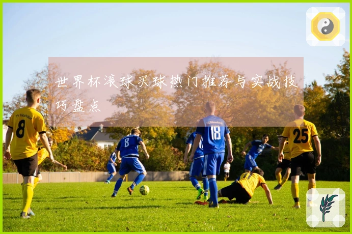 世界杯滚球买球热门推荐与实战技巧盘点