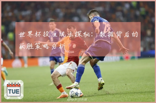 世界杯投注玩法探秘：数据背后的获胜策略分析